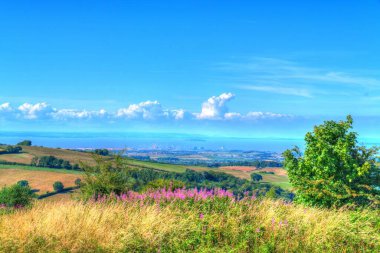 Hinkley Point manzarası ve Quantock Hills 'ten Somerset kırsal alanı. Önplanda pembe çiçekler var.