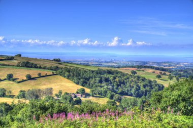 Hinkley Point manzarası ve Quantock Hills 'ten Somerset kırsal alanı. Önplanda pembe çiçekler var.