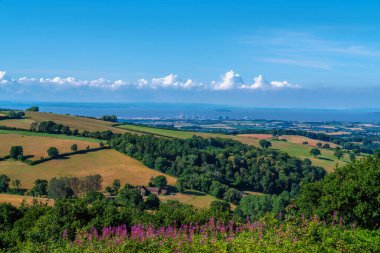 Somerset görüntüsü İngiltere kırsal kesimi Hinkley Point, Quantock Hills parlak ve renkli ön planda pembe çiçeklerle