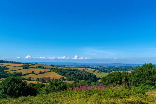 İngiliz kırsal kesimi Somerset İngiltere görüşü Hinkley Point, Quantock Hills parlak ve ön planda pembe çiçekler ile renkli