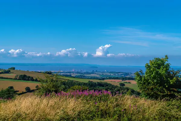 Somerset kırsalında Hinkley Point 'e doğru, Quantock Hills parlak ve renkli önplanda pembe çiçeklerle