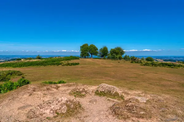Cothelstone Tepesi 'nin zirvesi Quantocks Somerset UK