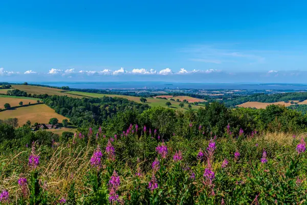 Somerset ülke görüşü İngiltere Hinkley Point, Quantock Hills 'e doğru kırsal