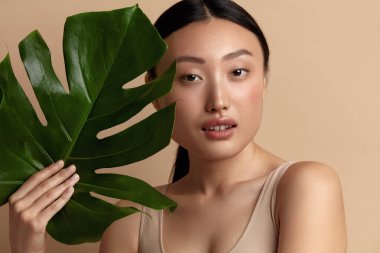 Yeşil Yapraklı Cilt Bakımı Kadın pozu. Asya Model Holding Tropikal Bitki ve Kameraya Bakma. Çıplak makyajlı, pürüzsüz, susuz ve parlak derili bir kadın. Bej Arkaplanda Doğal Güzellik 