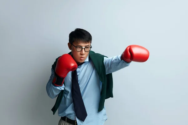 愤怒的家伙拳击工作室 亚洲人用拳打脚踢站在那里 准备进攻或防守 挑衅的形象 在灰色背景下被隔离的室内工作室拍摄 — 图库照片