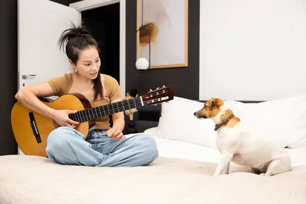 Młoda Kobieta Gra Gitarze Akustycznej Dla Uważnego Psa Łóżku Indoor — Zdjęcie stockowe