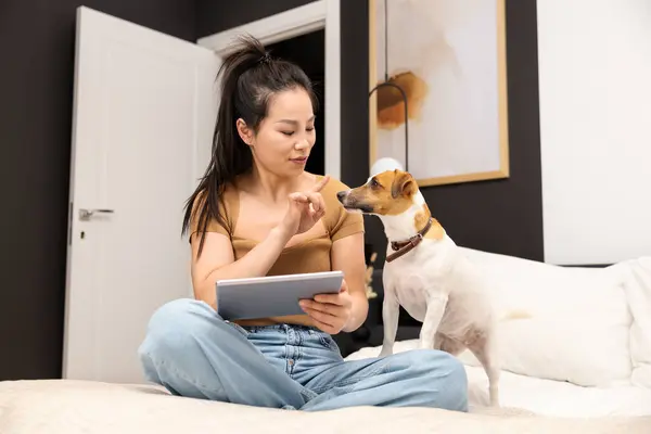 Woman Using Tablet With Attentive Dog On Bed. Modern Lifestyle And Pet Ownership. Indoor Relaxation With Technology And Companionship. Pet Lover Enjoying Weekend.