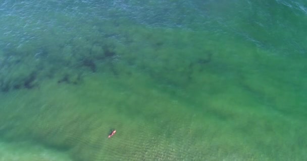 Aerial Video Beach Summer Day — Stock Video