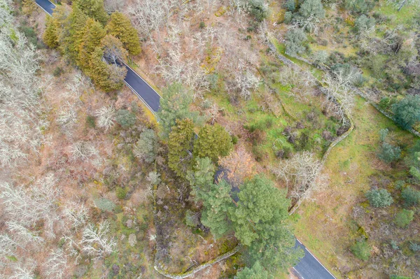 Luchtfoto Drone Uitzicht Van Een Berg Weg — Stockfoto