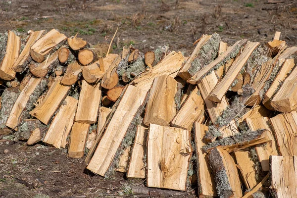 Stock image oak firewood cut and stacked