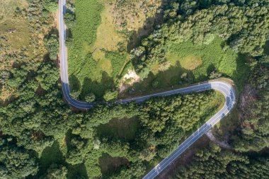 Kavisli bir dağ yolunun insansız hava aracı görüntüsü