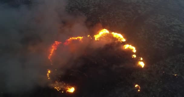 Video Aereo Incendio Boschivo Tramonto Incendi Estate Concetto Cambiamento Climatico — Video Stock
