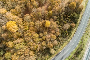 Sonbahar manzarasında bir yoldaki bisikletçinin hava görüntüsü