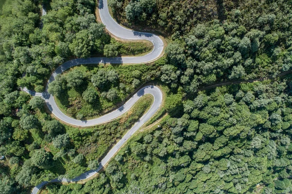 Top View Mountain Road Curves Oak Forest — Stock Photo, Image