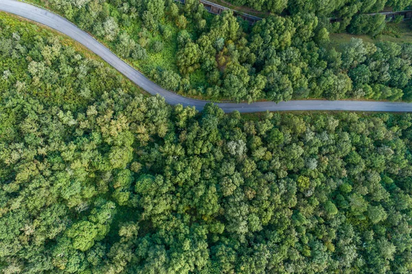 Letecký Pohled Horskou Cestu Lese — Stock fotografie