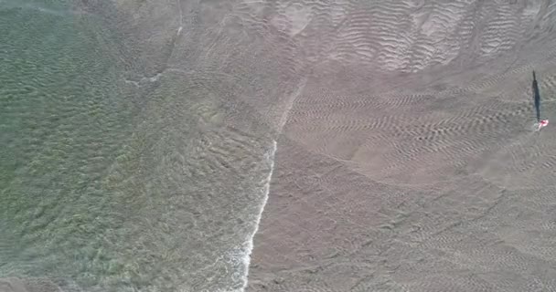 Luftaufnahmen Einer Person Die Strand Spazieren Geht — Stockvideo