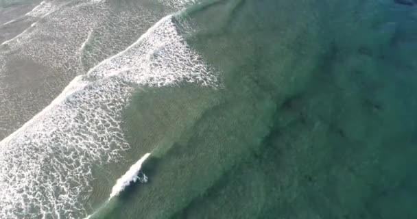 Aerial Video Drone Ascending View Shore Beach Sunrise — Stock Video