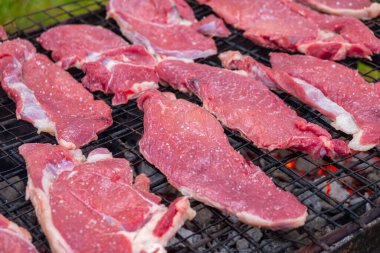 Kömür ızgarasında kızartılmaya hazır çiğ et parçaları.