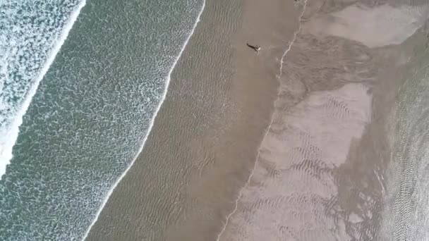 Aerial Footage Two Person Walking Beach Shore — Stock Video