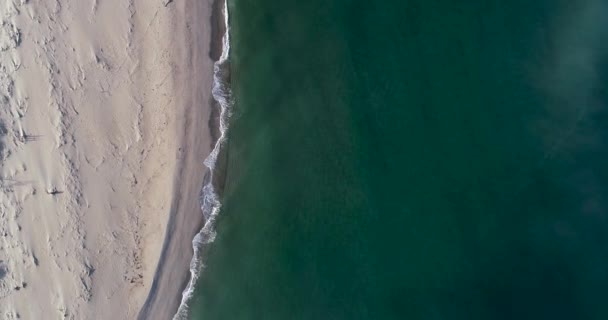Aerial Video Beach Summer Day — Stock Video
