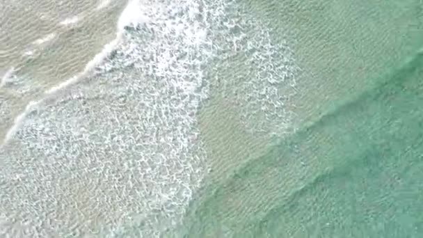 Aerial Drone Video Beach Shore — Stock Video