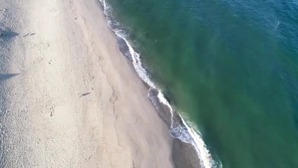 Bir Kumsalın Kıyısında Bir Hava Aracı Görüntüsü — Stok video