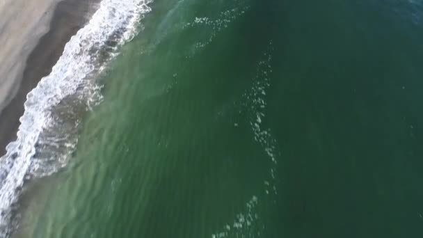 Aerial Drone Video Shore Beach — Stock Video