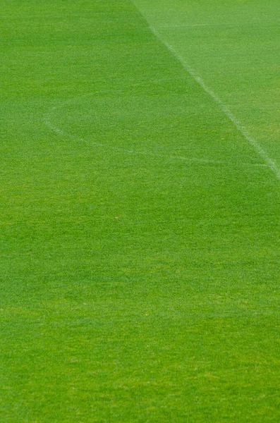Detail Eines Fußballfeldes Mit Nicht Markierten Linien — Stockfoto