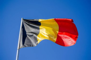 Rüzgarda dalgalanan Belçika bayrağı