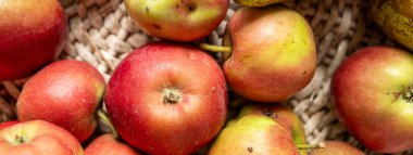 Organik çiftçilikten kırmızı elma bayrağı