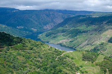 Sil Nehri Kanyonu, Ribeira Sacra. Galiçya, İspanya.