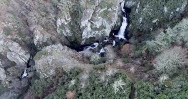Kış zamanı meşe ormanlarındaki bir şelalenin hareketsiz video görüntüleri. Galiçya, İspanya.