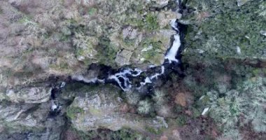 Kışın meşe ormanlarındaki bir şelalenin yukarı doğru uzanan görüntüsü. Galiçya, İspanya.