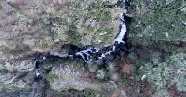 Metraje Video Cenital Aéreo Ascendente Una Cascada Bosque Robles Invierno — Vídeo de stock