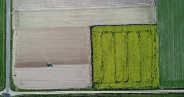 Légi Felvétel Egy Mezőgazdasági Területet Szántó Traktorról — Stock videók
