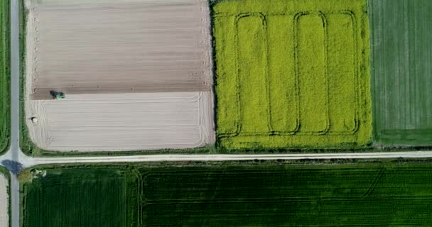 Drone Aéreo Vídeo Trator Arar Campo Agrícola Conceito Agricultura — Vídeo de Stock