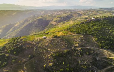 Portekiz 'deki Douro Nehri Vadisi' nin yamaçlarının hava manzarası.