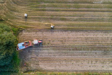 İspanya 'da bir patates tarlasında çalışan traktör ve hasat makinesinin drone görüntüsü.