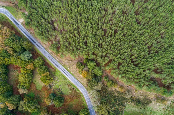 Drone Vista Aerea Una Strada Una Foresta Montagna Foto Stock