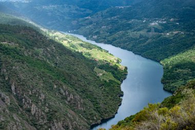 Sil nehrinin kanyonu Parada do Sil 'in bakış açısından görülüyor. Ribeira Sacra. İspanya