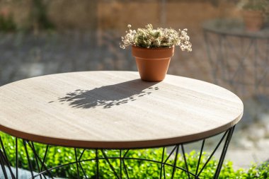 Açık kahve masasında küçük bir demlik kurumuş çiçek var.