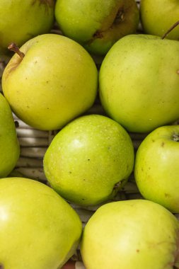 Organik çiftçilikten taze toplanmış yeşil elmalar