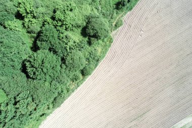 drone aerial view of a plowed farm field next to a forest clipart