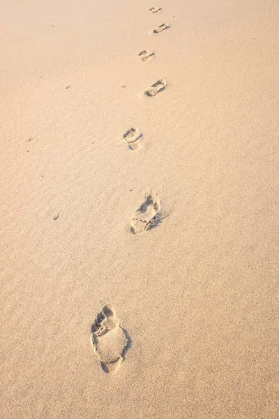 human footprints on the sand of a beach
