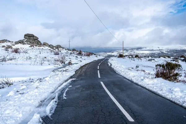 Karlı bir arazide yol, Peneda-Geres Ulusal Parkı. Portekiz 'in kuzeyi