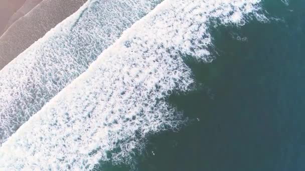 Aerial Drone Video Three Surfers Sea Waiting Waves Overhead Footage — Stock Video