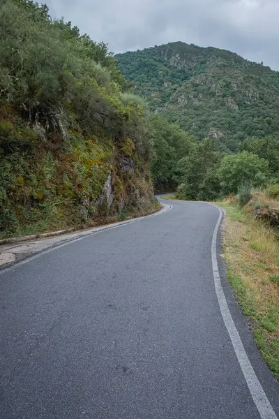 Ribeira Sacra 'daki dağların arasındaki yol. Galiçya, İspanya.