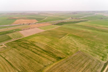 Ufuk çizgisine kadar uzanan tahıl tarlaları.