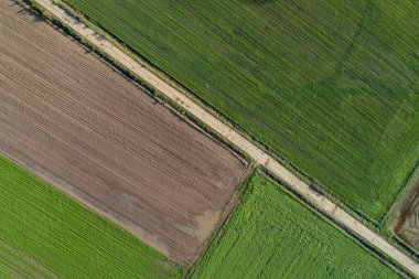 Çiftlik arazileri arasındaki bir yolun hava aracı görüntüsü