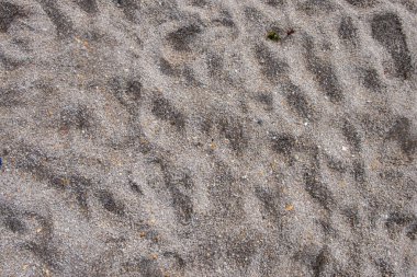 Kumsaldaki kumların ayrıntıları